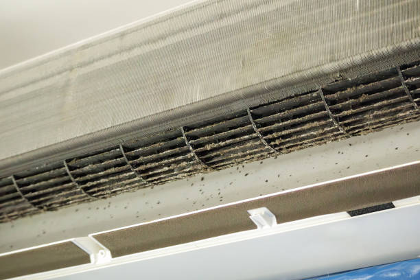 Best Air Duct Cleaning Company Near Me  in Rangely, CO