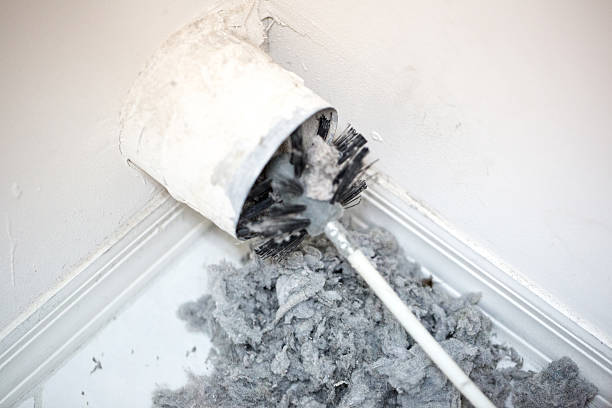 Best Home Air Vent Cleaning  in Rangely, CO